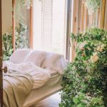 Revive Your Space: Embrace the Vibrancy of Spring